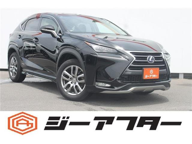 NX300h Iパッケージ