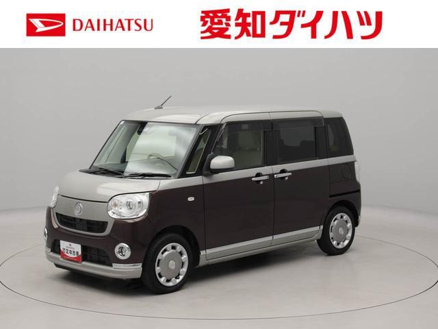 ムーヴキャンバスG メイクアップ SAIII