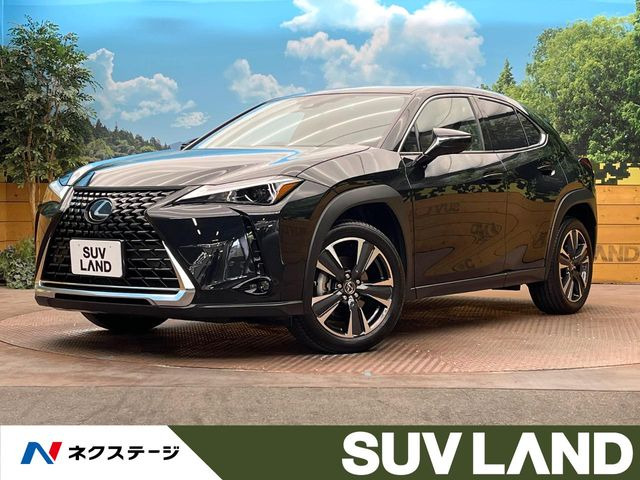 UX250h バージョンC