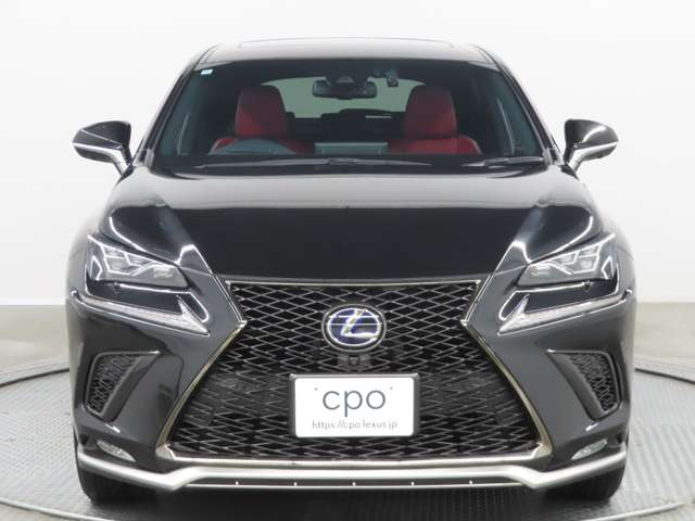 NX300h Fスポーツ 4WD