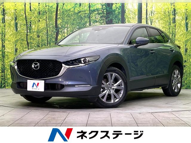 CX-302.0 20S プロアクティブ ツーリングセレクション