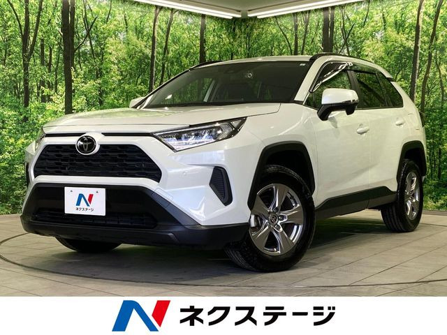 RAV42.0 X