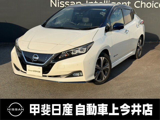 リーフe+ G