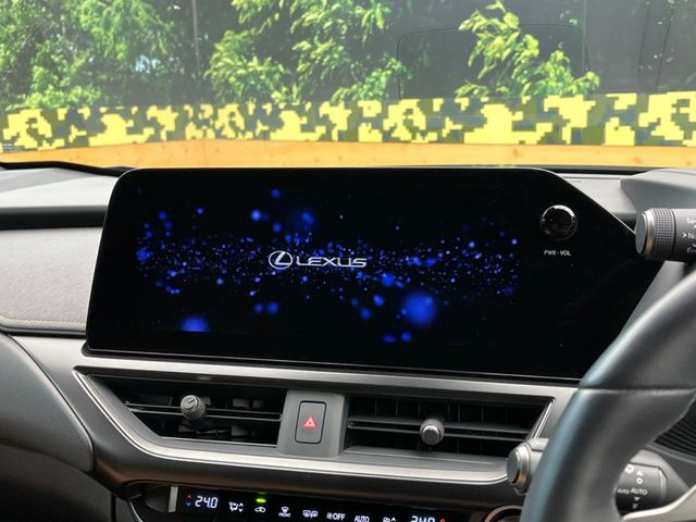 UX250h バージョンC