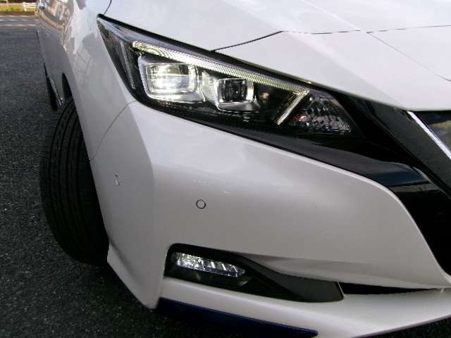 リーフG