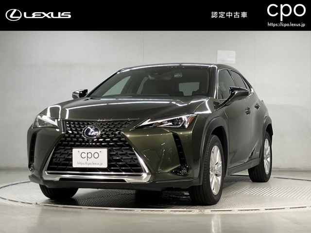 UX250h バージョンC