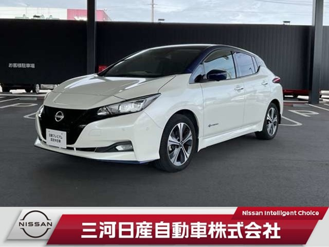 リーフe+ G