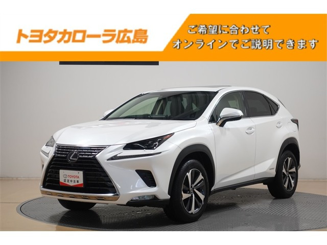 NX300h Iパッケージ