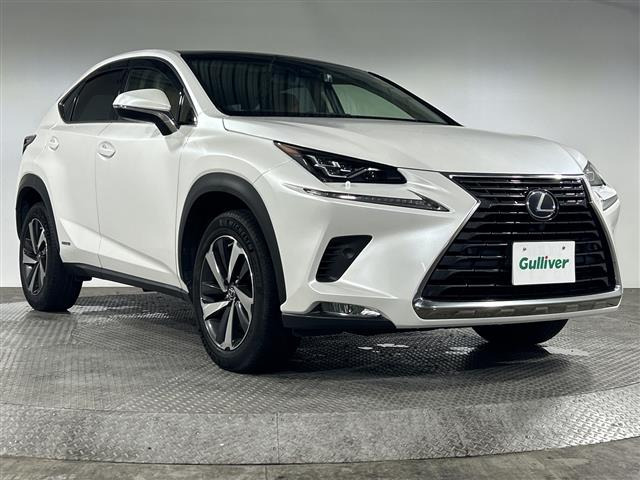 NX300h Iパッケージ