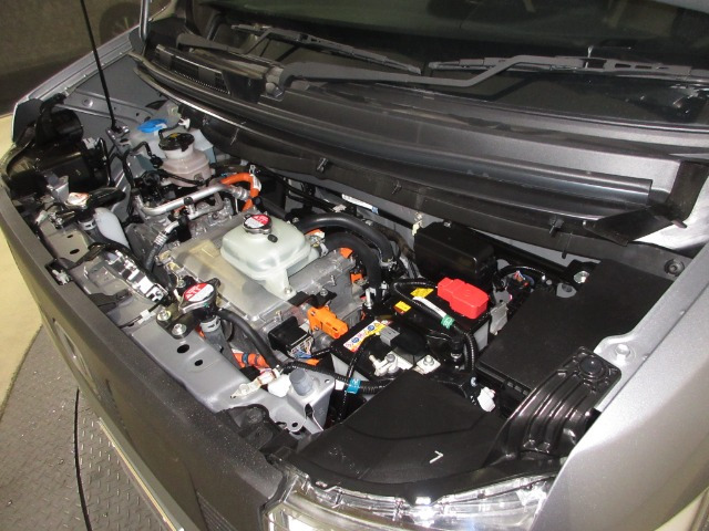 N-VAN e:e: L4