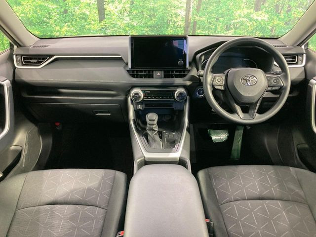 RAV42.0 X