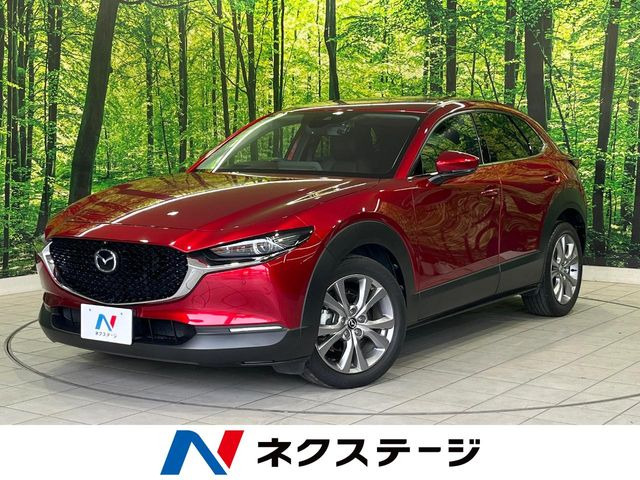 CX-301.8 XD Lパッケージ