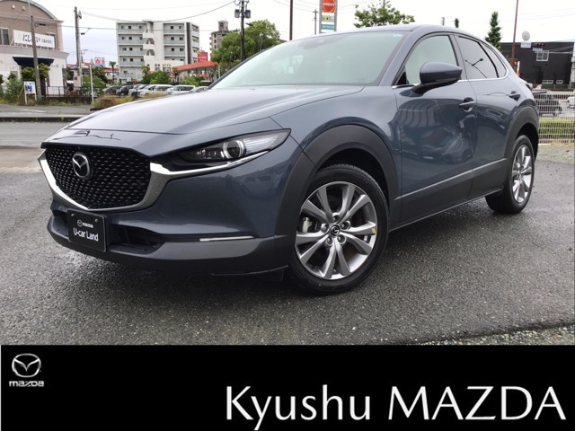 CX-301.8 XD Lパッケージ