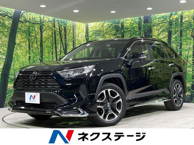 RAV42.0 X