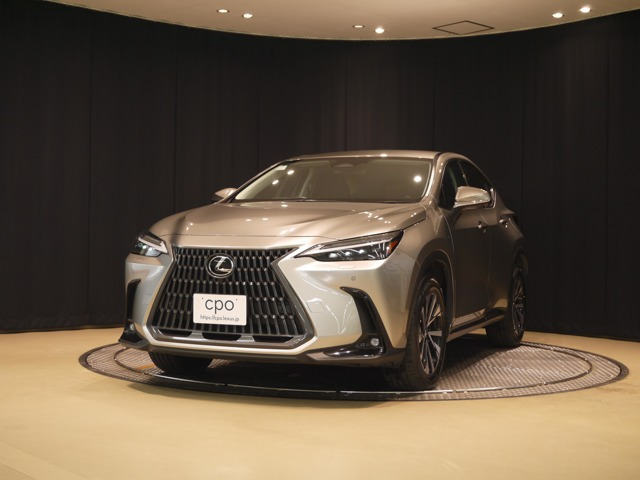 NX350h 4WD