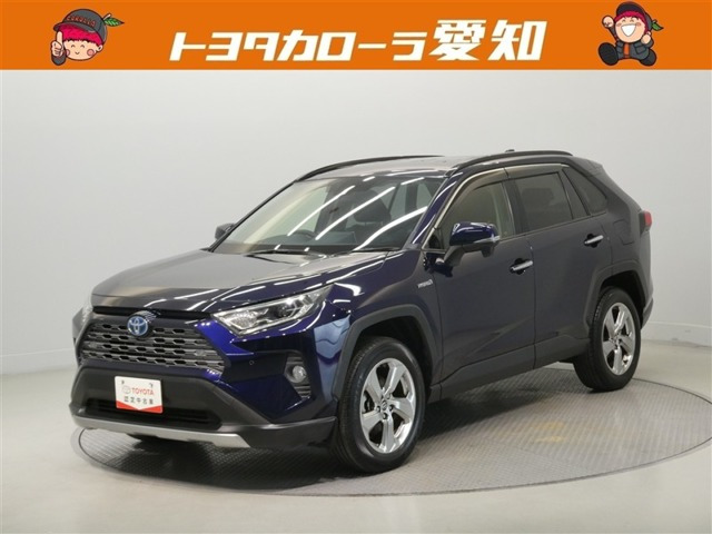 RAV42.5 ハイブリッド G E-Four 4WD