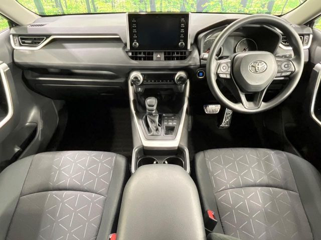 RAV42.0 X