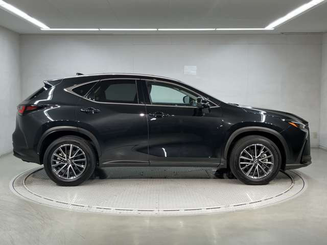 NX
