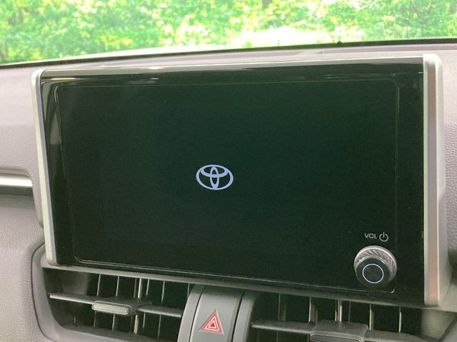 RAV42.0 X
