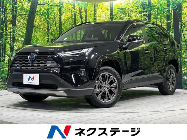 RAV42.5 ハイブリッド G E-Four 4WD