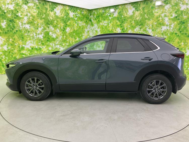 CX-302.0 20S