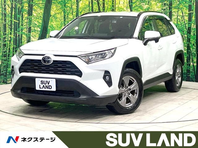RAV42.0 X