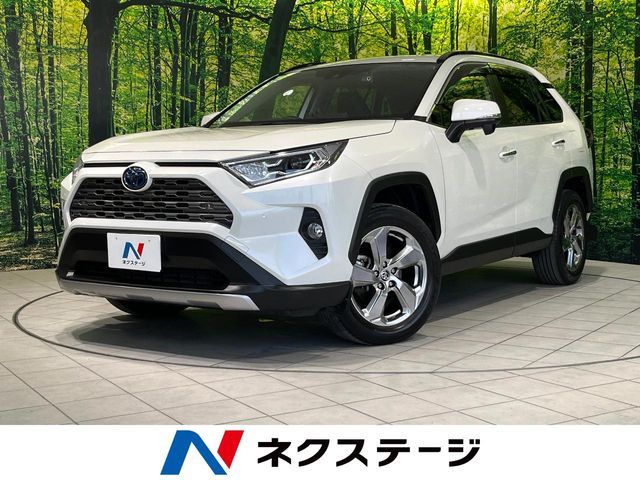 RAV42.5 ハイブリッド G E-Four 4WD