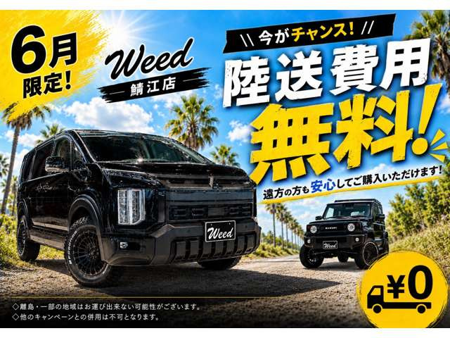 デリカミニT プレミアム デリマル パッケージ 4WD