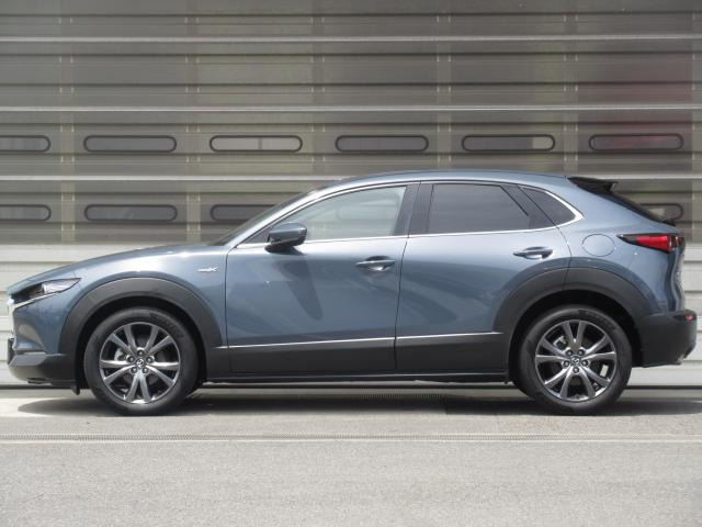 CX-30