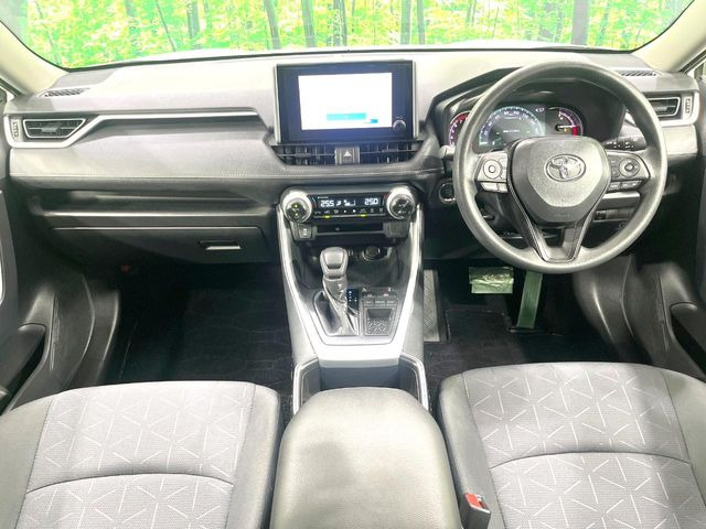 RAV42.0 X