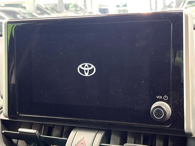 RAV42.0 X