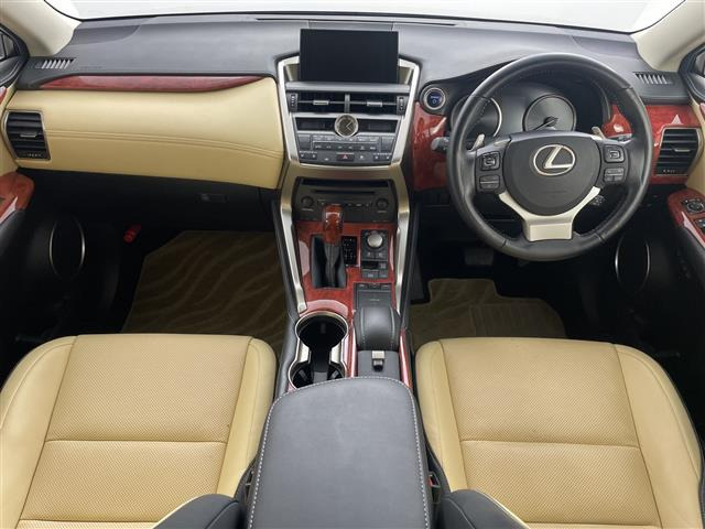 NX300h バージョンL