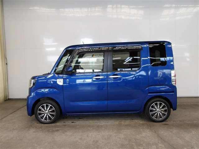 ピクシスメガGターボ SAIII