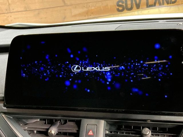 UX250h バージョンL