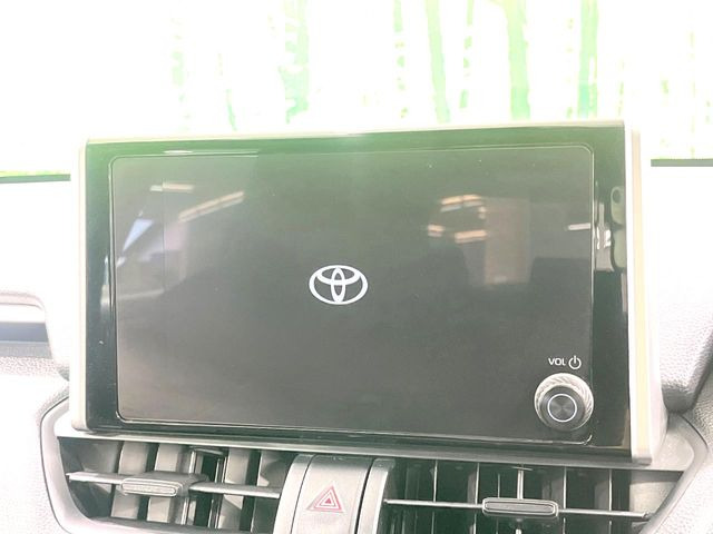 RAV42.0 X