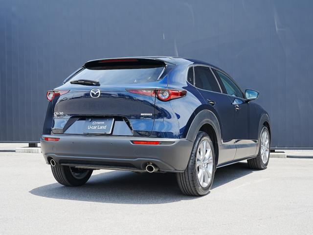 CX-302.0 20S プロアクティブ ツーリングセレクション