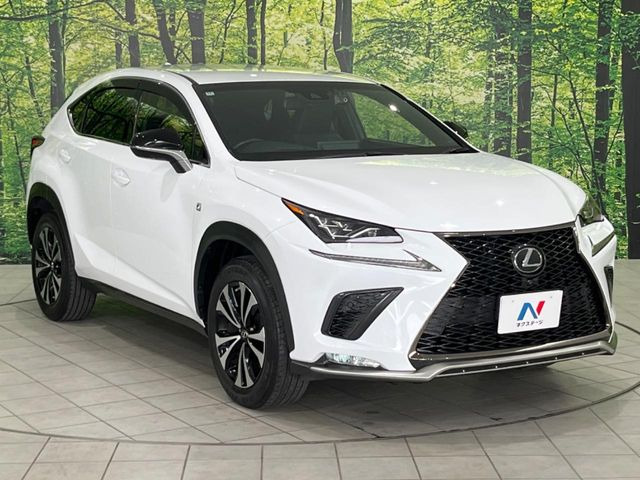 �������x�̃K���X�疌�ŝ����͂������A�㎿�ȃc���E����������B���O����_���J�����؂Ȉ��Ԃ�ی삵�A�F�����E�򉻂�h�~�B�u�e�X�v���b�V���R�[�g�v�A�u�e�v���~�b�T�R�[�g�v���炨�I�т��������܂��B