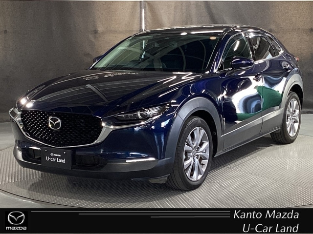 CX-302.0 20S プロアクティブ