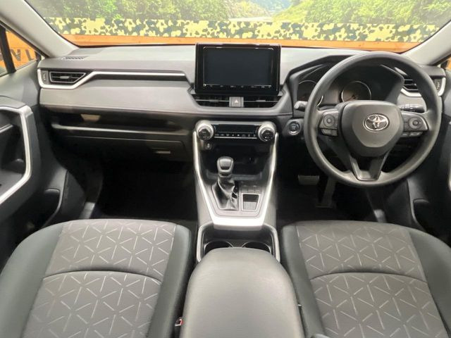 RAV42.0 X