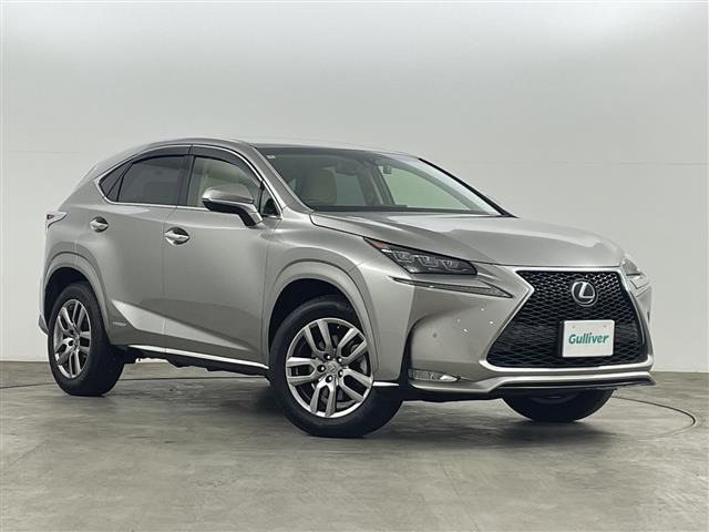 NX300h バージョンL