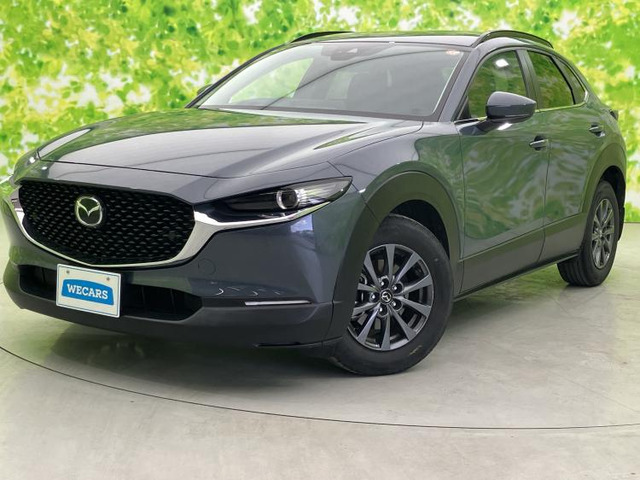 CX-302.0 20S