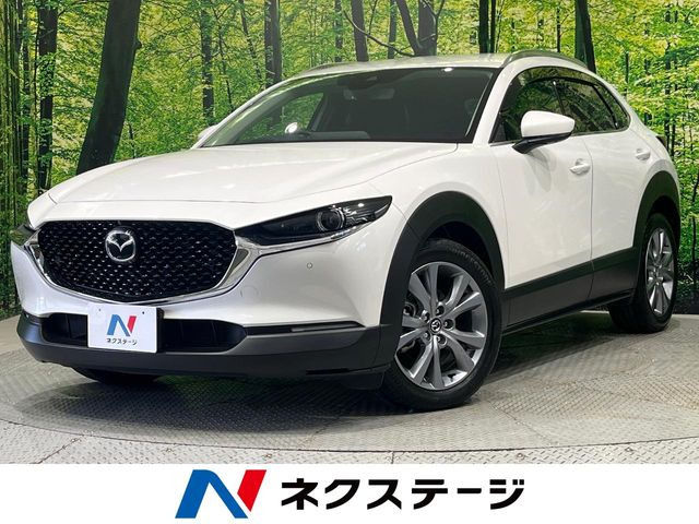 CX-302.0 20S プロアクティブ ツーリングセレクション