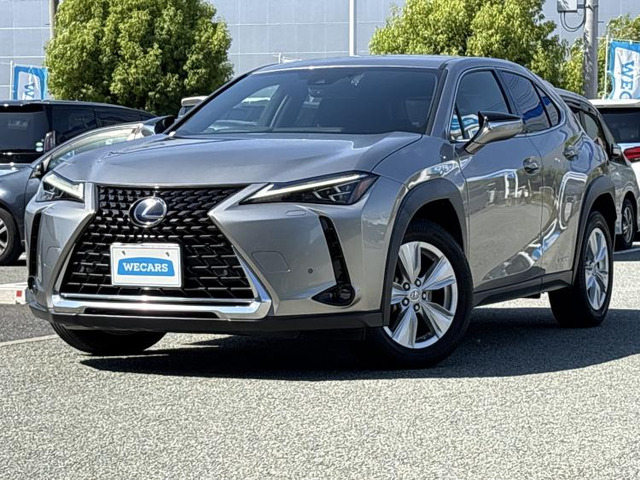 UX250h バージョンC