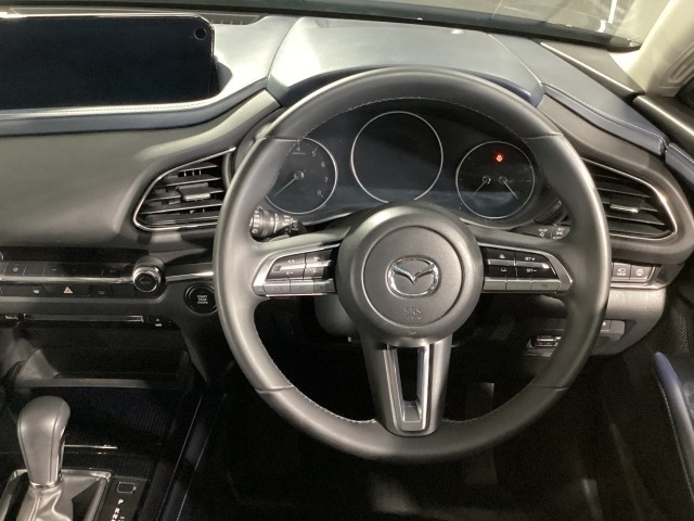 CX-302.0 20S プロアクティブ