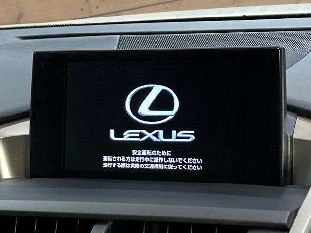 NX300h