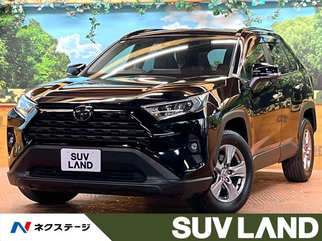 RAV42.0 X