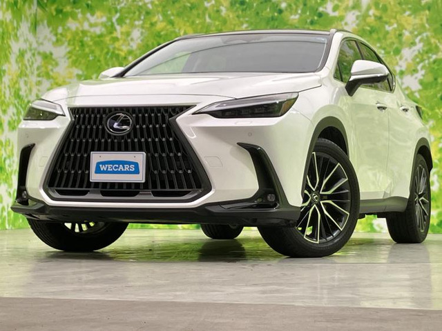 NX250 バージョンL