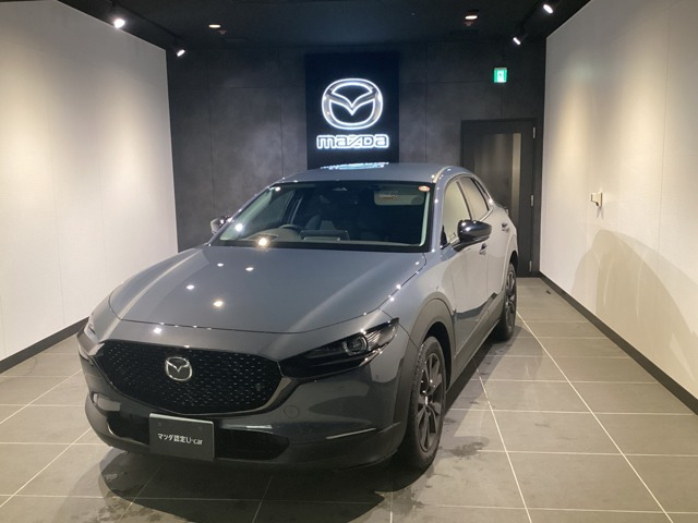 CX-301.8 XD ドライブ エディション