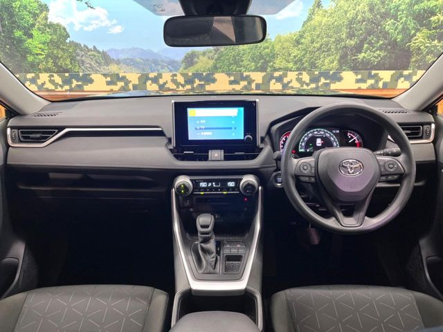 RAV42.0 X