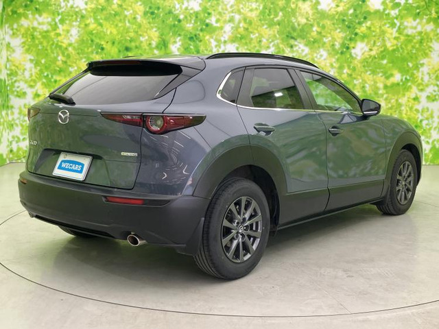 CX-302.0 20S